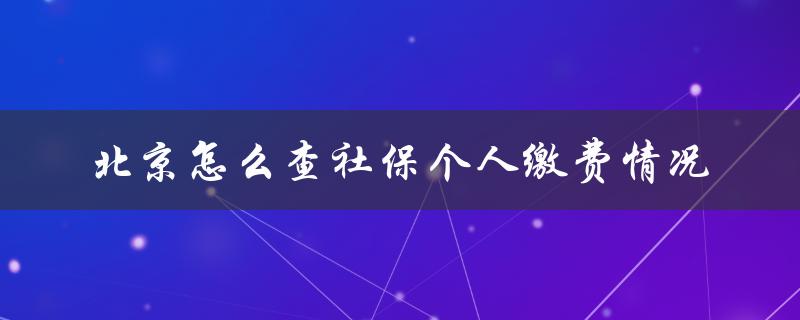 北京怎么查社保个人缴费情况