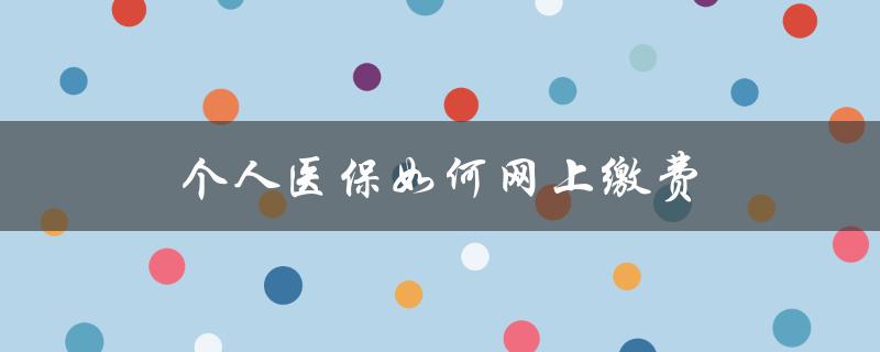 个人医保如何网上缴费