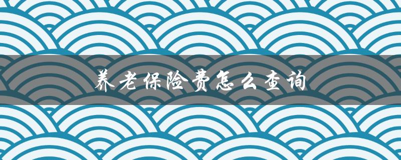 养老保险费怎么查询