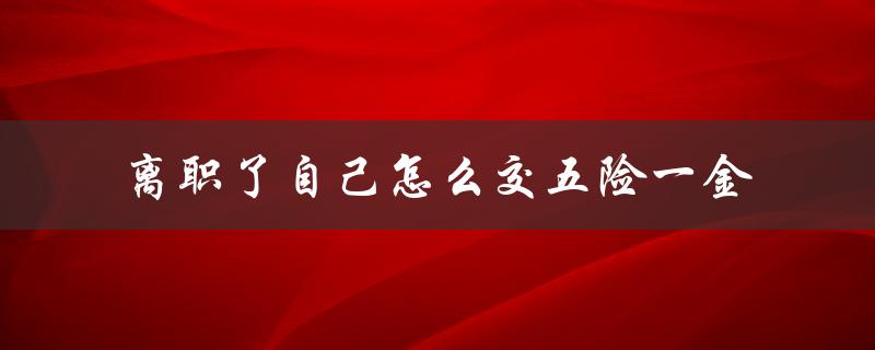 离职了自己怎么交五险一金