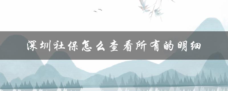 深圳社保怎么查看所有的明细