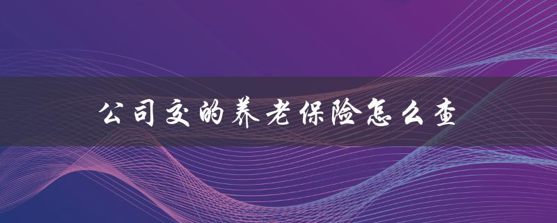 公司交的养老保险怎么查
