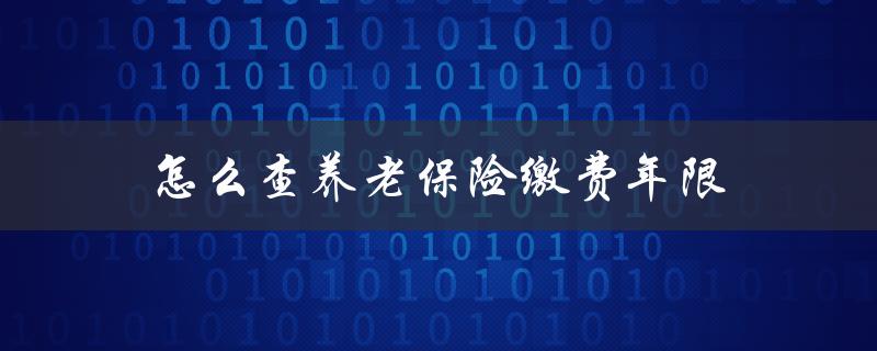 怎么查养老保险缴费年限