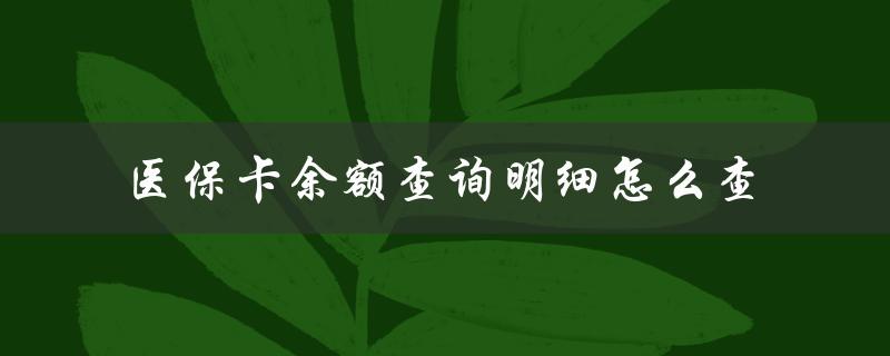 医保卡余额查询明细怎么查