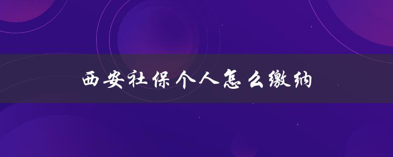 西安社保个人怎么缴纳