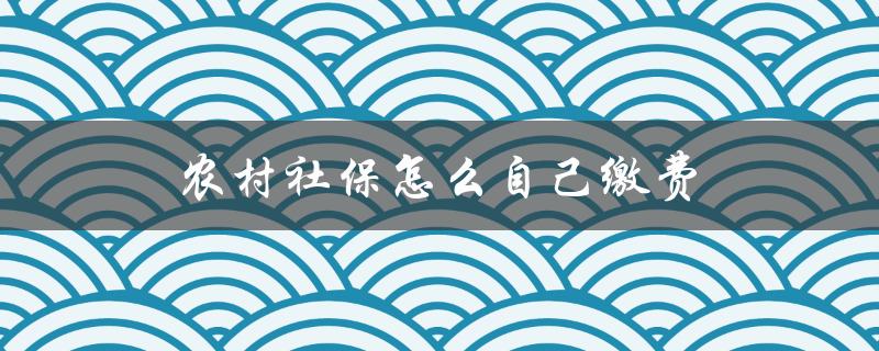 农村社保怎么自己缴费