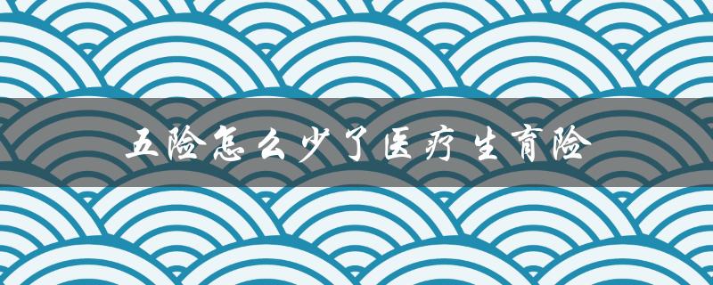 五险怎么少了医疗生育险