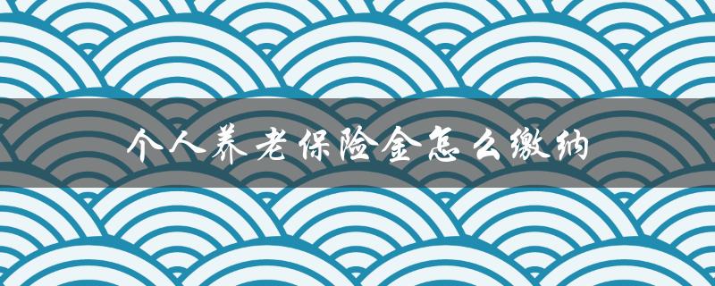 个人养老保险金怎么缴纳