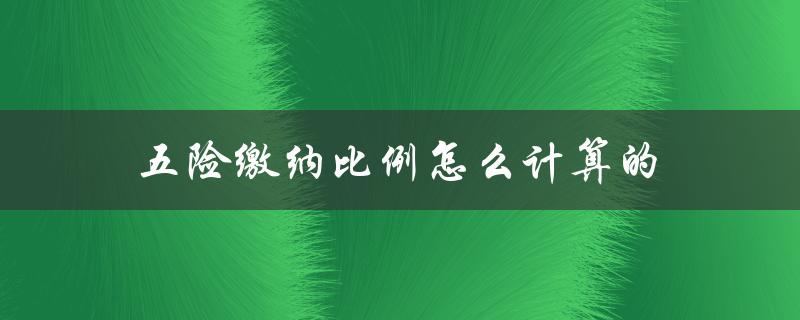 五险缴纳比例怎么计算的