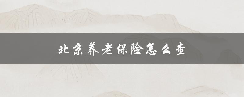 北京养老保险怎么查