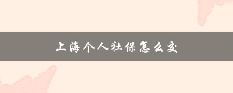 上海个人社保怎么交