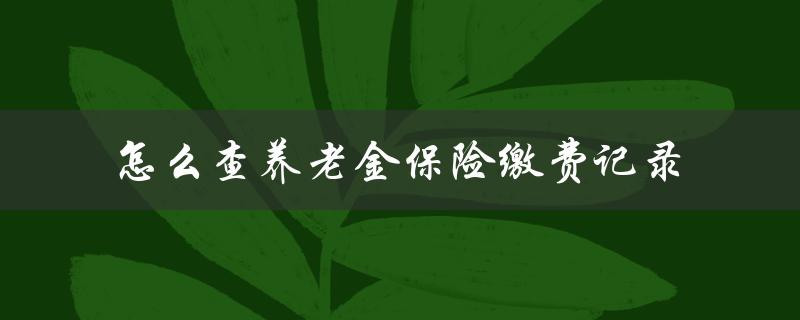 怎么查养老金保险缴费记录