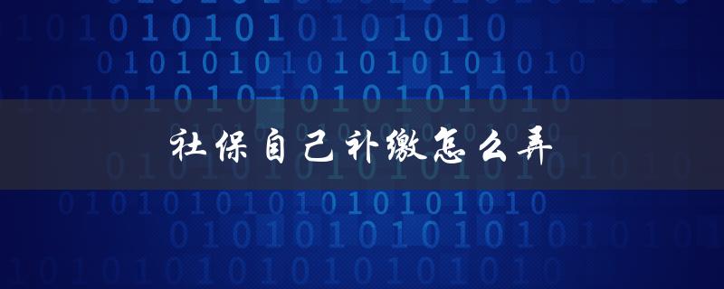 社保自己补缴怎么弄