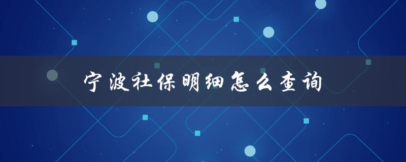 宁波社保明细怎么查询