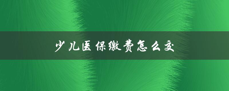 少儿医保缴费怎么交