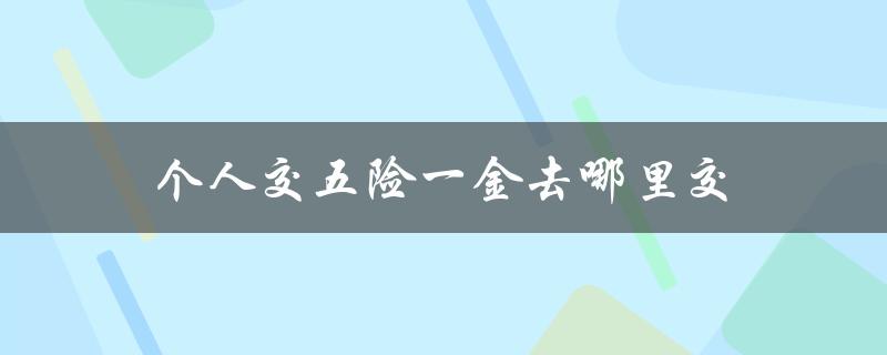 个人交五险一金去哪里交